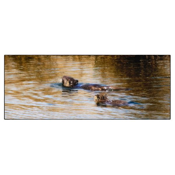 PHOTO84, CLUB, 84 , LUBERON